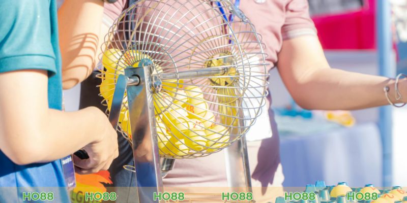 Hướng dẫn nuôi dàn đề chẵn lẻ hiệu quả