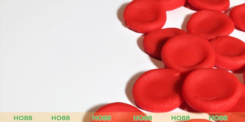 Nằm Mơ Thấy Máu Đỏ Đánh Số Gì